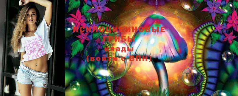 закладки  Нижнеудинск  Галлюциногенные грибы Magic Shrooms 